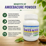 Amoeba cure Powder | 100g