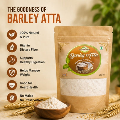 Barley Flour / Jau Flour | Each Pack of 250g