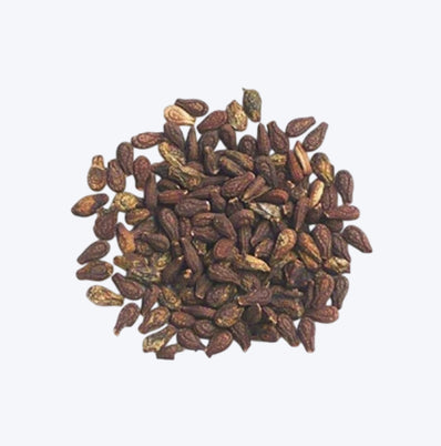 Putra jeeva(200gm) + Shivlingi Beej (100gm)