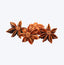 Star Anise | 100g