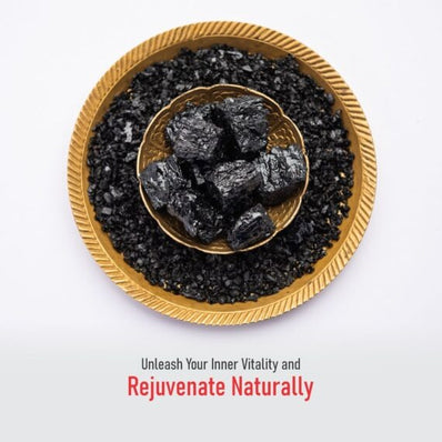 Shudh Shilajeet (Dried) | 25g